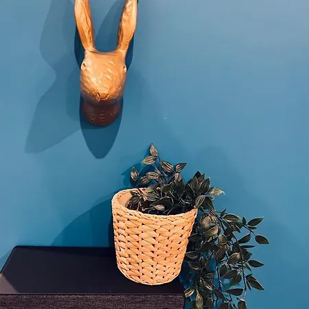 Appartement Narcisse Balneo, Sauna, Hammam